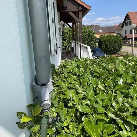 Holiday home Au Nid De Cigognes Leutenheim